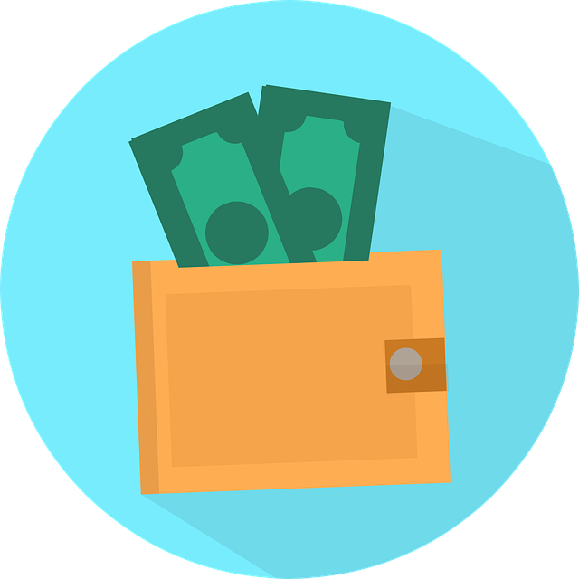 wallet-3721156_640.png (63 KB)